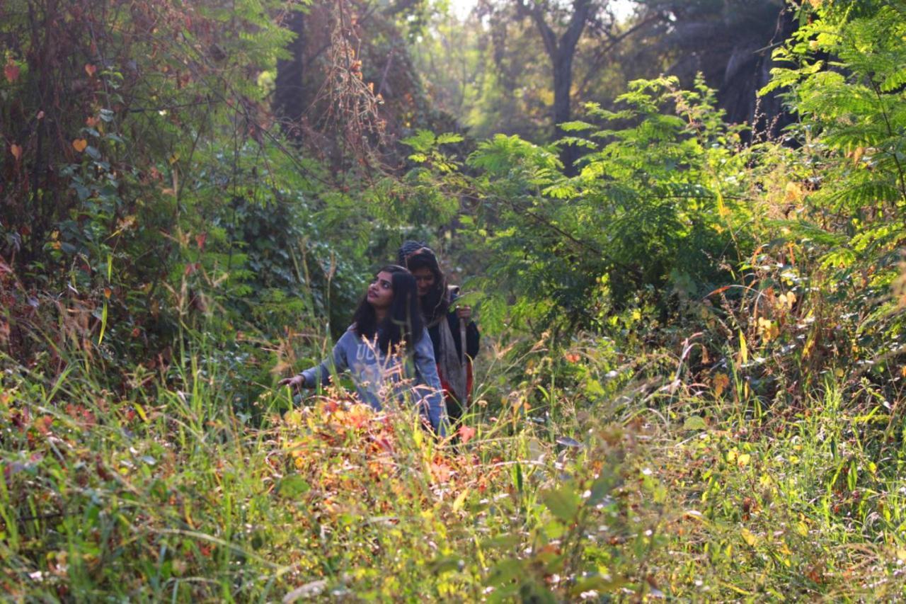 Dera Baghdarrah Nature Retreat Udaipur Extérieur photo