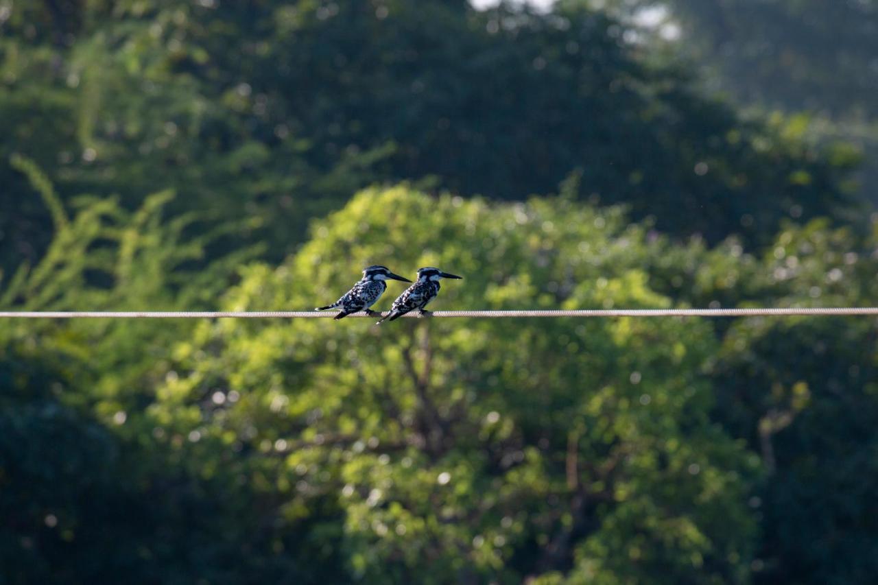 Dera Baghdarrah Nature Retreat Udaipur Extérieur photo